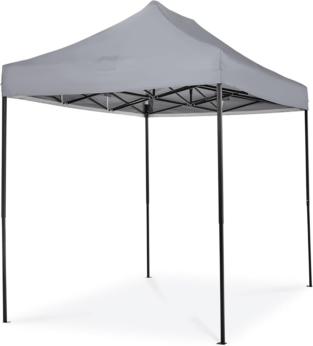 All Seasons Gazebos, 3 x 2 m, robuust, volledig waterdicht, premium pop-up tuinhuisje + draagtas en gewichten (metallic grijs)