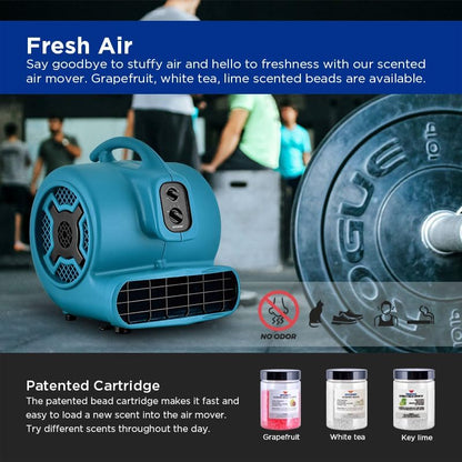 XPower Mighty Centrifugal Air Mover, Carpet Dryer, Floor Fan, Blower, Stackable, Daisy Chain, for Water Damage Restoration, Janitorial, Plumbing, Home Use (Blau, P-850T 3200CFM)