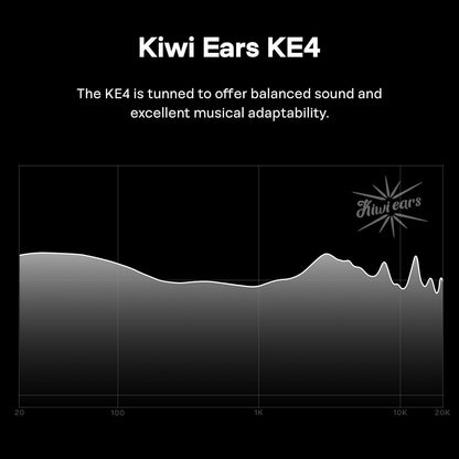Hybride In-Ear Monitor – In-Ear Oordopjes – Bedrade Oortjes – IEM Oortjes – In-Ear Koptelefoon – Zilver – 2DD+2BA Hybride Driveropbouw – Afneembare 2-Pins Kabel