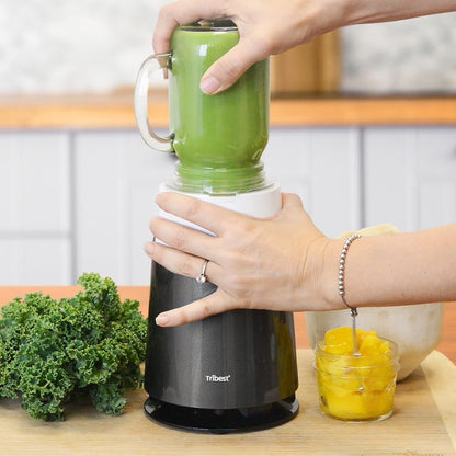Tribest PB430G blender
