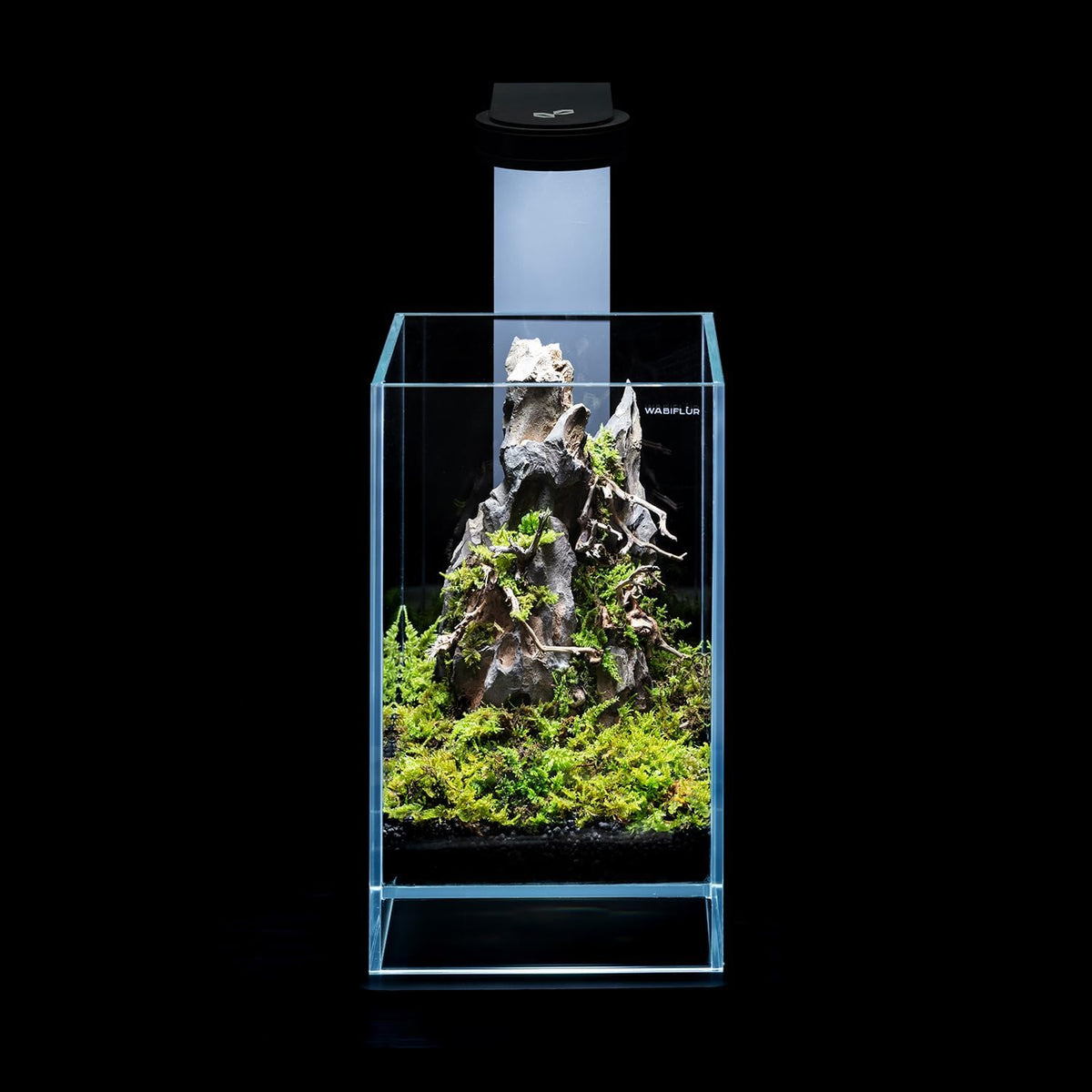 Terrarium van extra helder glas met geïntegreerde led, elegant design voor natuurlijke ecosystemen en watertuinen, afmetingen 15 x 15 x 25 cm (h x b x h)