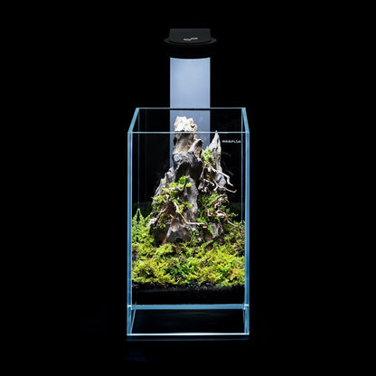 Terrarium van extra helder glas met geïntegreerde led, elegant design voor natuurlijke ecosystemen en watertuinen, afmetingen 15 x 15 x 25 cm (h x b x h)