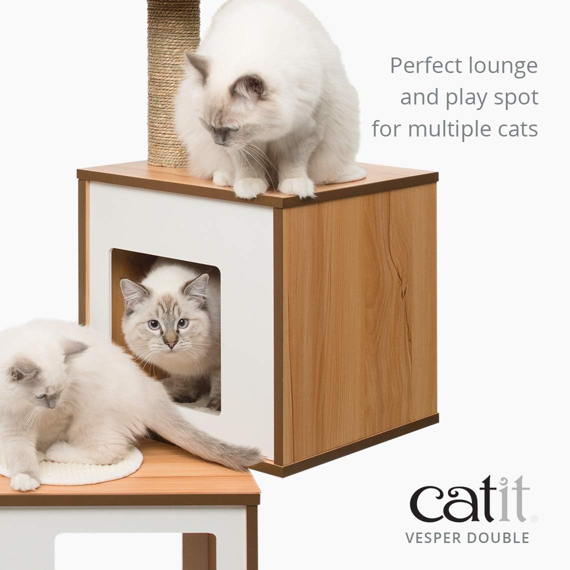 Kattenmeubel – Kattenhuis – Krabpaal – Kattenkubus – Krabmeubel – Dubbele Cubes Met Platform – Natuurlijke Zeegras Krabpalen – Verwijderbare Kussens Met Geheugenfoam