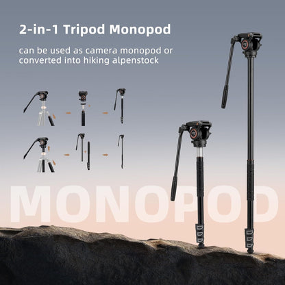 Cayer Aluminium videostatief, 75 inch, 4-delig, vloeistofkop, 6 kg draagvermogen, zilver, DSLR-camera, camcorder