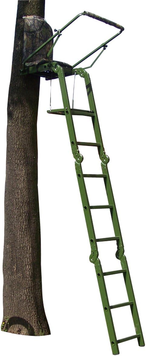 Berger & Schröter Aanzetladders inklapbaar, groen