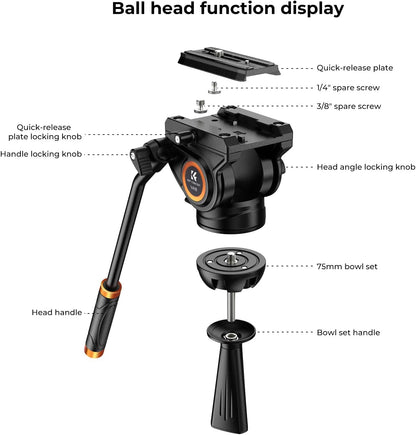 K&F Concept Video Statief Systeem, 184cm Heavy Duty Statief met 360° Fluid Head, Professionele Aluminium Statief met Quick Release Plate voor DSLR, Camcorder, Camera's, Maximale Belasting 8KG.