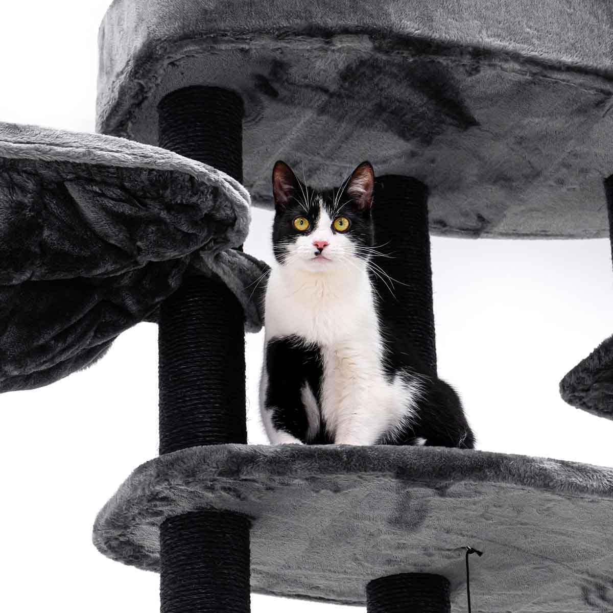 Kattenkrabpaal – Krabmeubel – Kattenboom – Krabton – Krabhuis – Zwart – 177 cm Hoog – Inclusief Comfortabele Ligbak & Ruim Kattenhol