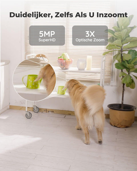 Beveiligingscamera - Wifi-beveiligingscamera - Baby Camerabewaking - Draadloos - voor Binnen - 2.4 & 5GHz - CCTV-camera - met AI-detectie van Mens - Huisdier - Automatisch Volgen - 3x Optische Zoom - Oudere Huisdieren - Tweerichtingsgeluid - Wit