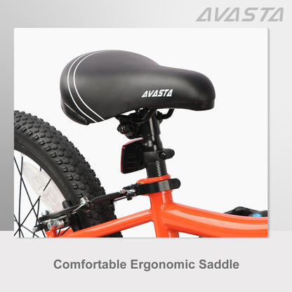 AVASTA 20 inch fiets BAG1006YS20or