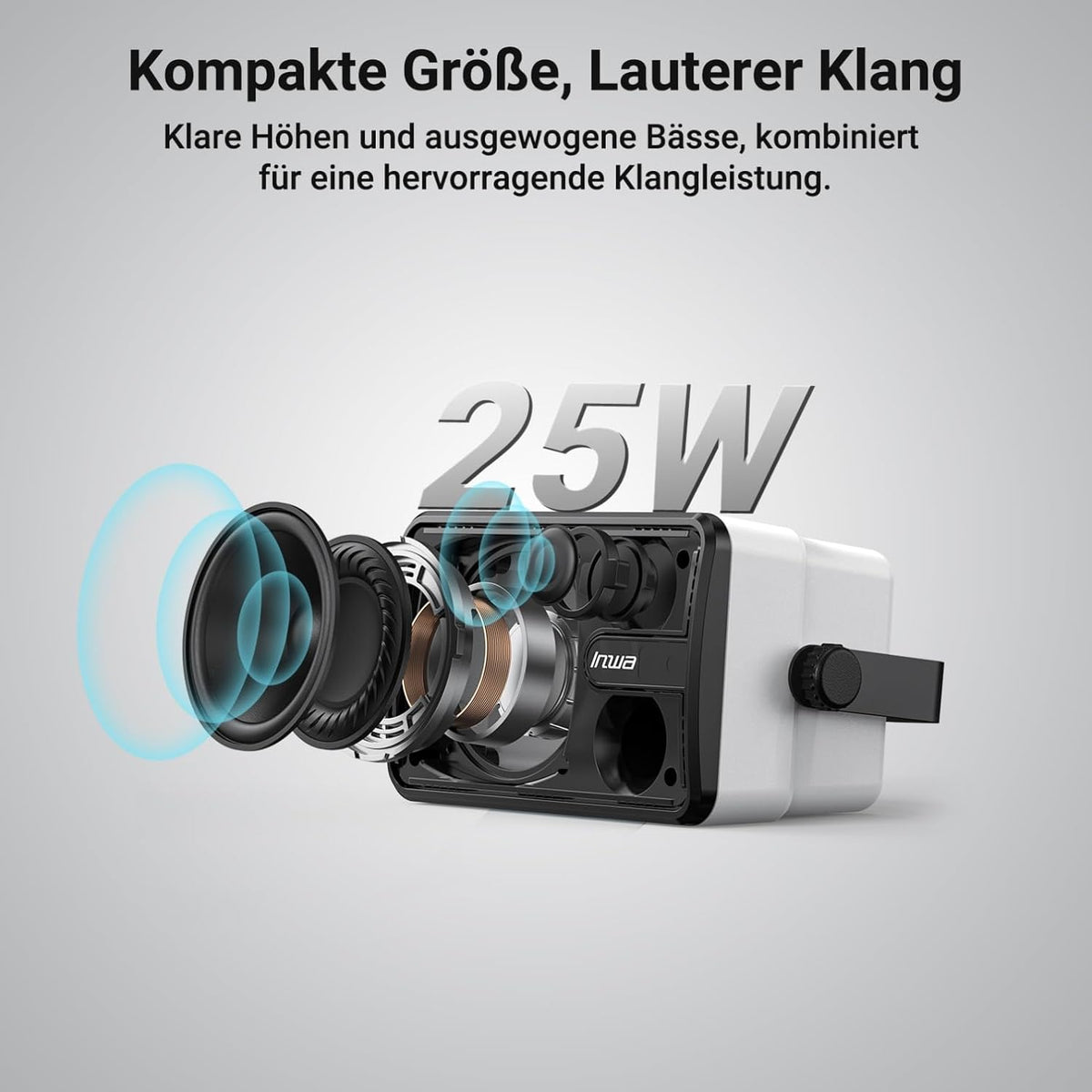 Inwa Bluetooth-Outdoorluidspreker, Draadloos Geluidssysteem voor Binnen en Buiten, IPX5-Waterdicht, 250W (2 Stuks Sync Speaker & AC/DC-Adapter, 1 Afstandsbediening, RMS 25W)