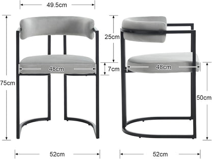 chairus Dining Chairs Set of 2 Velvet Metal Frame Kitchen Chairs Modern Side Armchairs for Dining Room (Grey) - QUORE