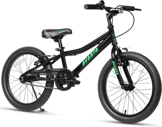 AVASTA 20 inch fiets BAG1006YS20bk
