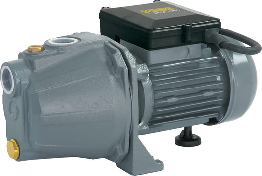 Elektrische Pomp – Waterpomp – Dompelpomp – Tuinpomp – Zelfaanzuigende Pomp – Krachtige Motor 800W – Robuust Gietijzeren Pomplichaam