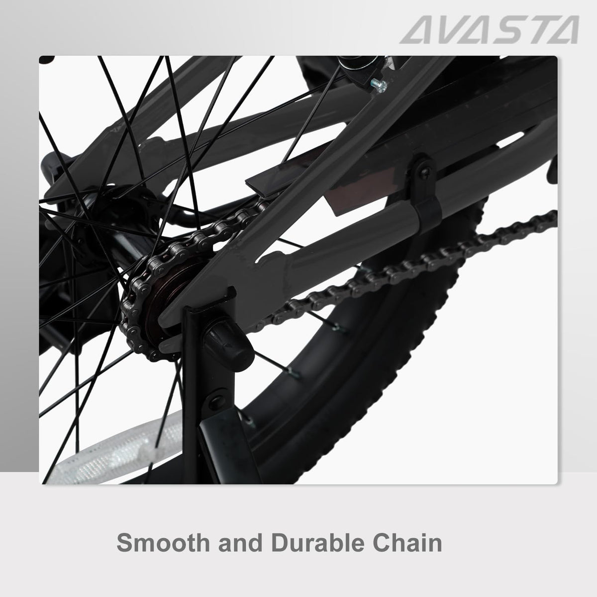 AVASTA 20 inch fiets BAG1006YS20bk