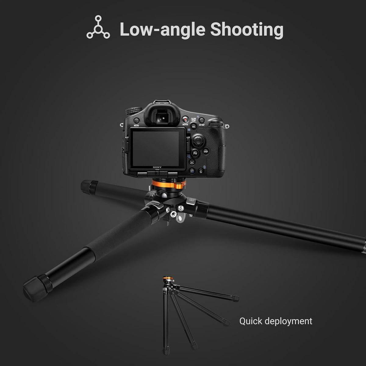 TARION Compact reisstatief voor camera: draagbare lichtgewicht camerastatief voor backpacken, uniek komstatief + kogelkop Quick Release Systeem, aluminium fotografiestatief 60in/152 cm hoog QOBRA