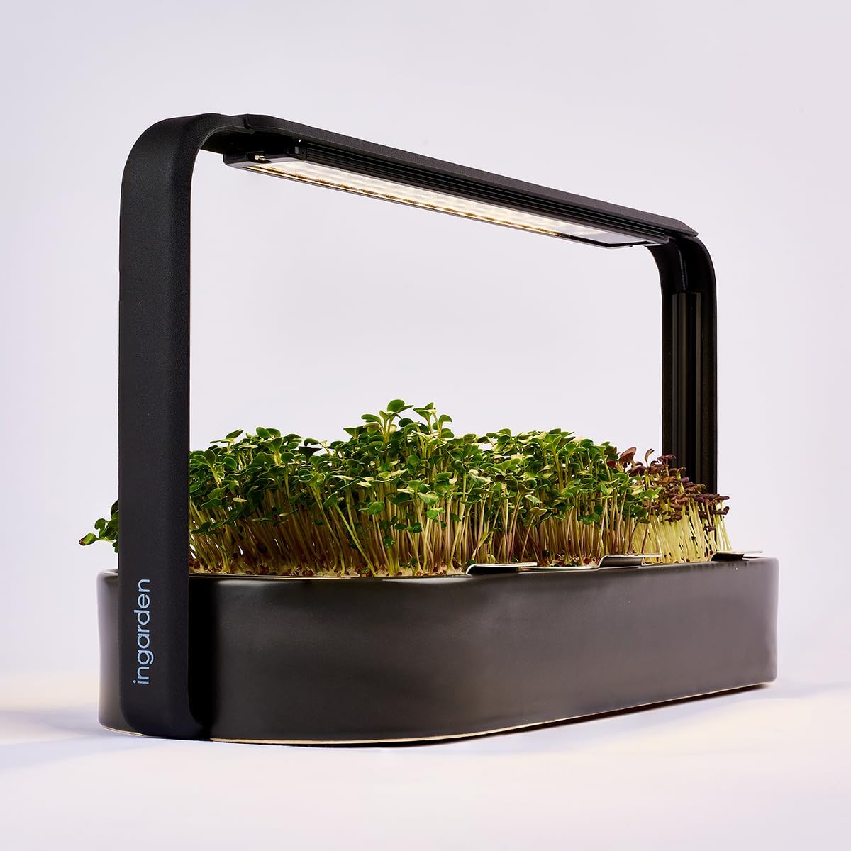Smart Garden Starter Set - Indoor Garden met LED voor microgreens - incl. 12 biologische zaadpads - schaal van keramiek vulkanzwart - Scandinavisch design - klaar voor oogsten in slechts 7