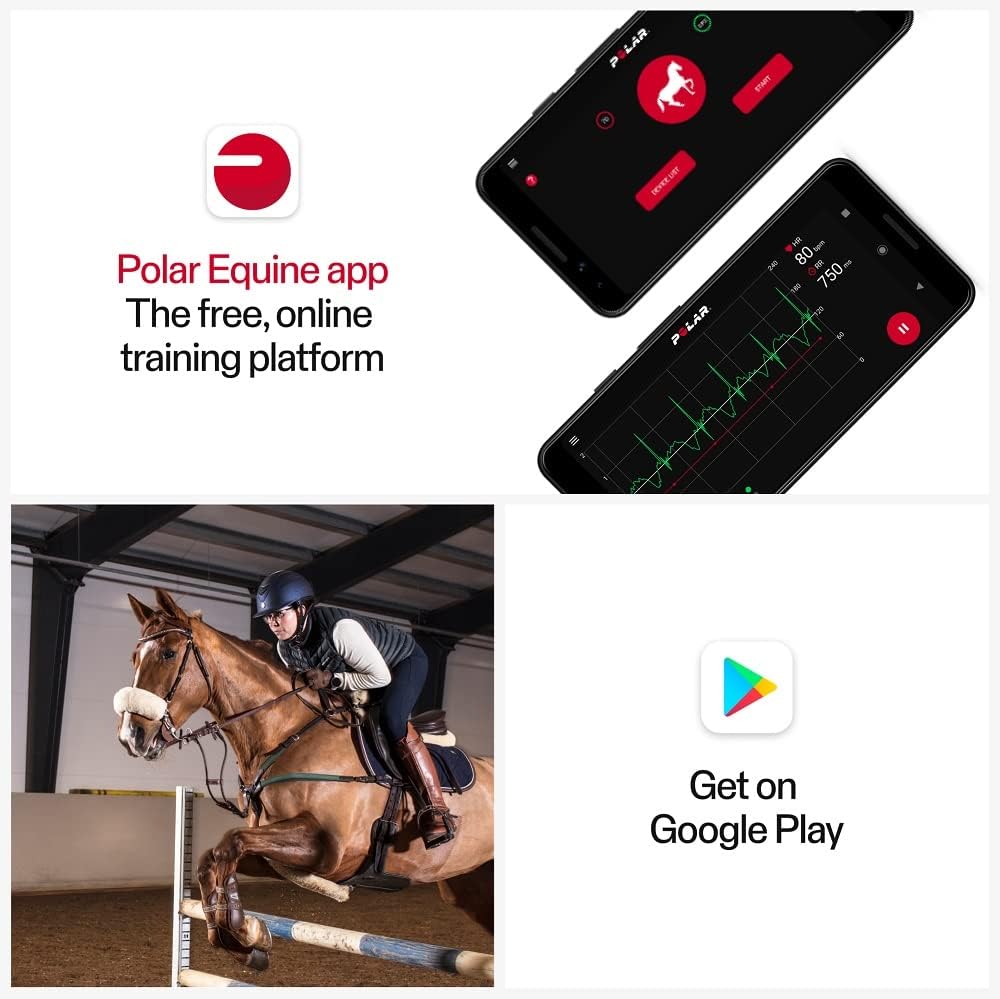 Polar Equine Hartslagmeter voor paardrijden