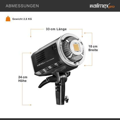 Walimex Pro LED2Go 60 Daylight
