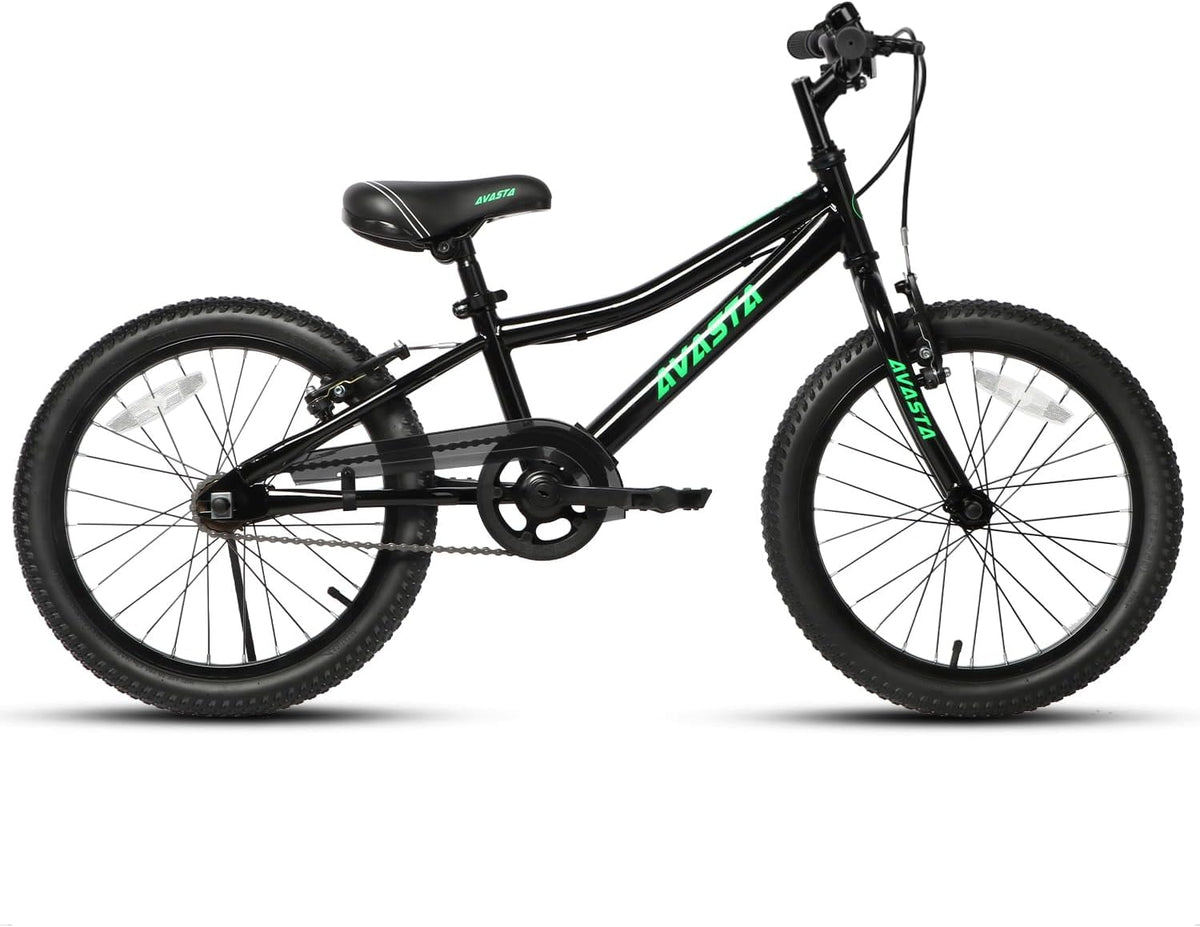 AVASTA 20 inch fiets BAG1006YS20bk