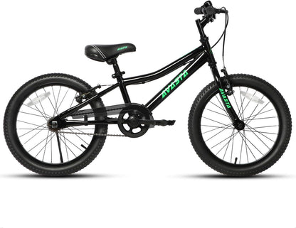 AVASTA 20 inch fiets BAG1006YS20bk