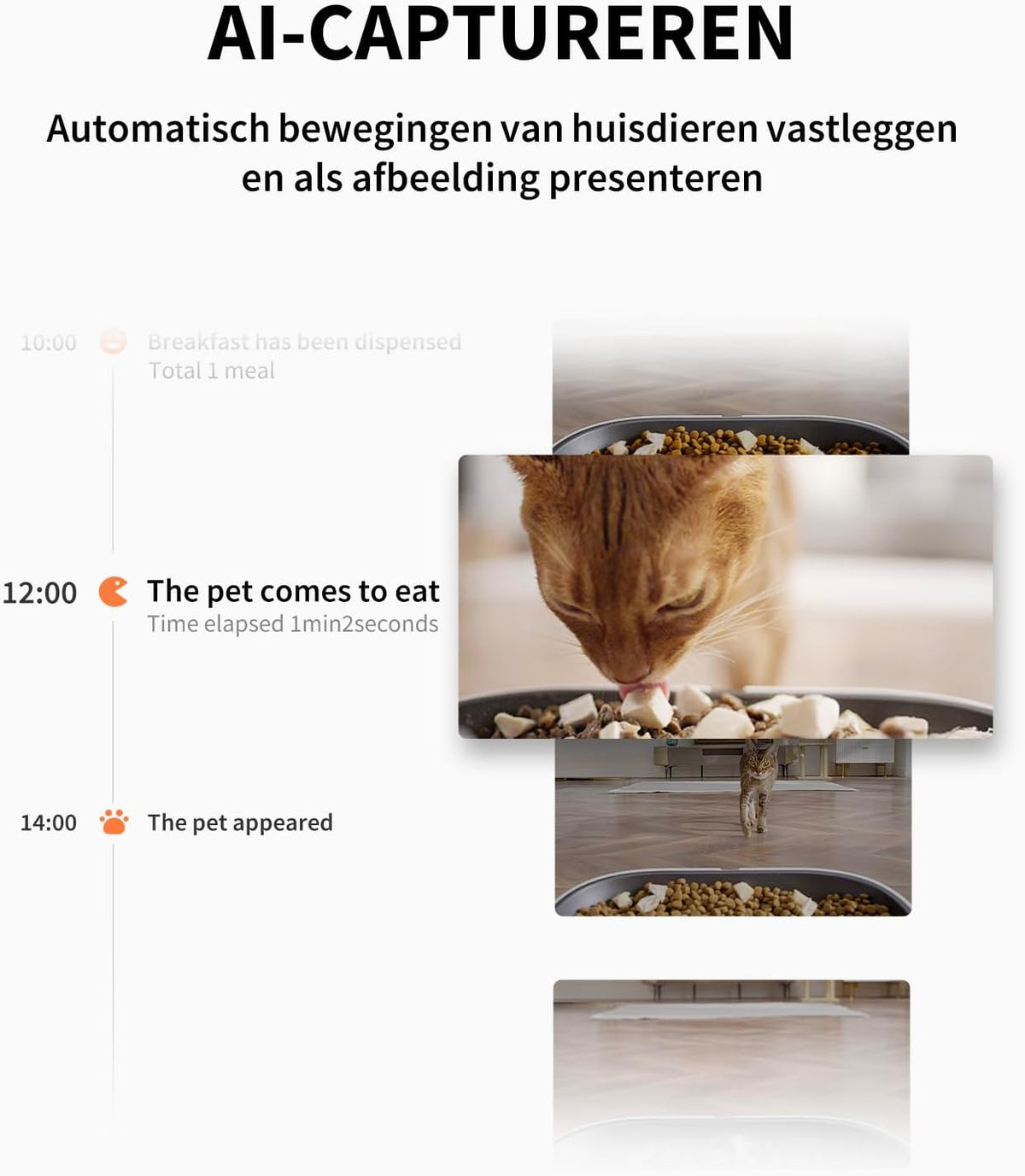 Automatische Voederautomaat – Huisdier Voederdispenser – Kattenvoederautomaat – Hondensnijder – Slimme Voedertrechter – 5 Liter Dubbele Trechter – 1080p HD Camera met Nachtzicht