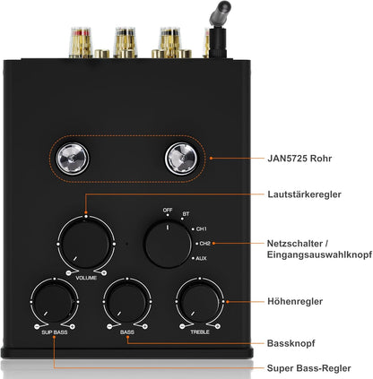 Douk Audio T6 PRO Bluetooth buisversterker: 300 W x2 TPA3255 2-kanaals stereo versterker - dual VU-meter & super bas - voor thuisbioscoop- en hifi-systemen (zwart)