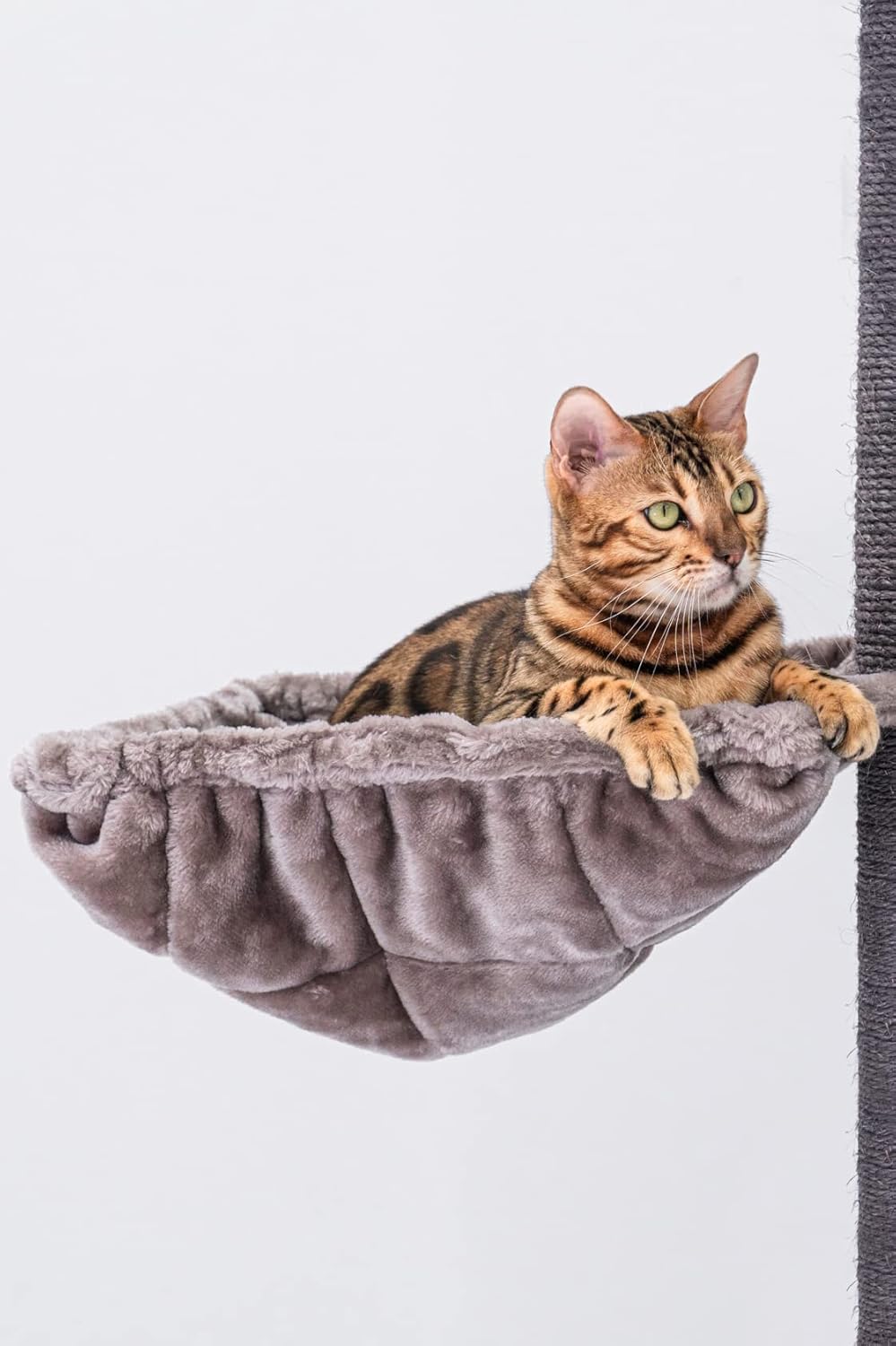 Krabpaal – Kattenboom – Klimpaal – Krabmeubel – Speeltoren – Hoogte 224 cm – Dikke 12 cm Sisalstammen – Kleur Cappuccino