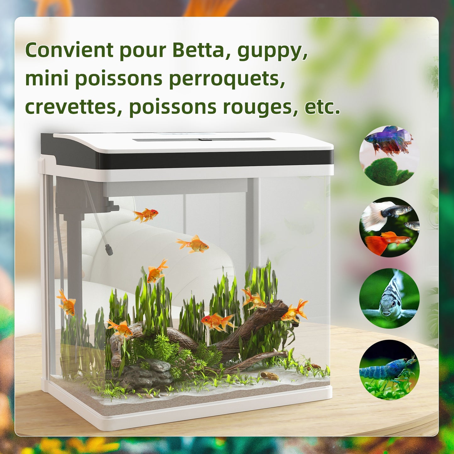 Aquarium – Vissenkom – Visbak – Nano Aquarium – Glas Aquarium – 28 Liter Inhoud – LED-Verlichting en Stil Filter – Met Deksel – Wit