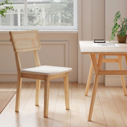 Eetstoel – Eetkamerstoel – Kuipstoel – Stoel – Meubel – Scandinavisch Design – Stevig Niet-Houten Frame – Snelle Montage