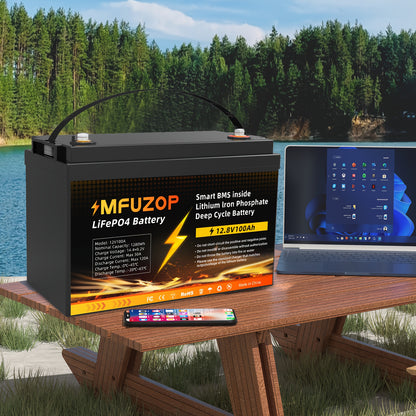 Lithium Accu – LiFePO4 Accu – Oplaadbare Batterij – Bootaccu – Camper Accu – 12V 100Ah – 100A BMS Bescherming – 8000+ Cyclus Levensduur