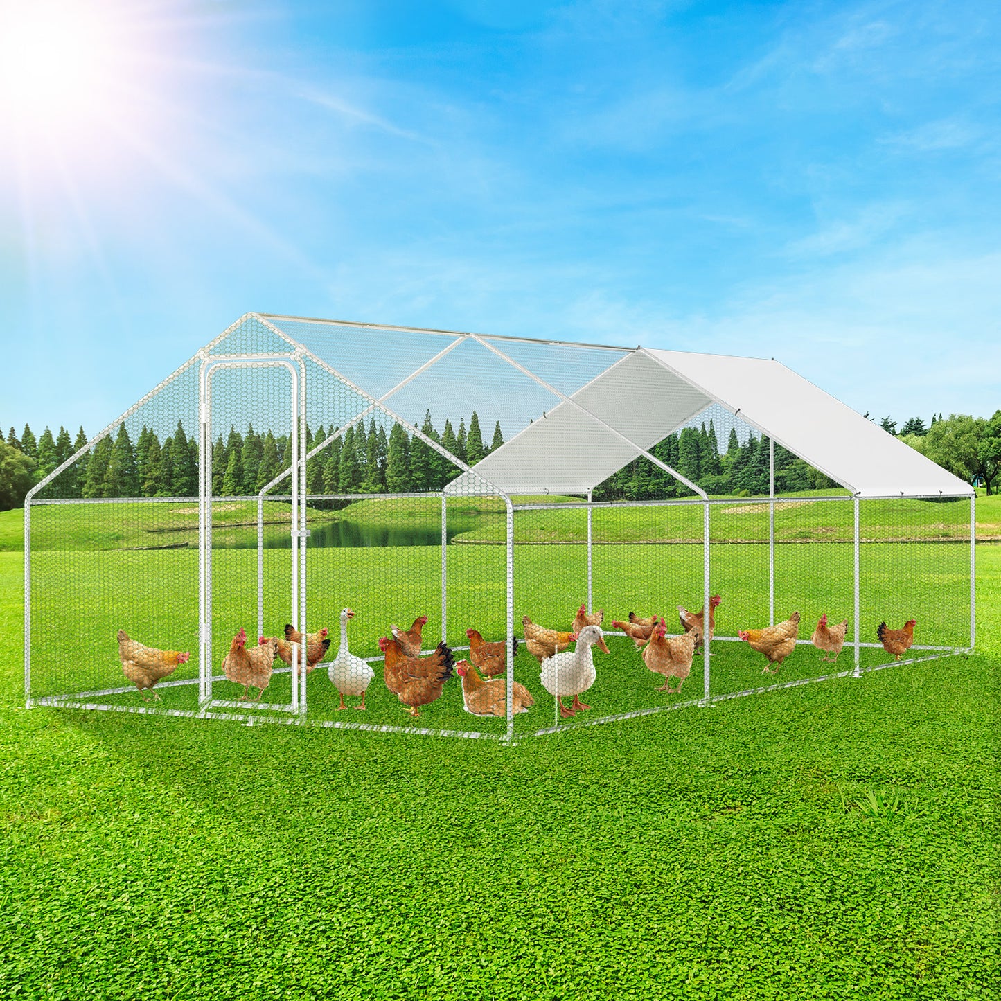 Kippenhok – Konijnenhok – Kippenren – Dierenhok – Buitenren – Robuuste Metalen Constructie – Verzinkt Stalen Frame 300x300x200 cm