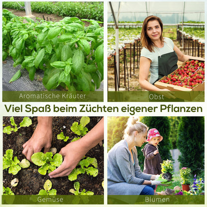Kweekkas – Tuinkas – Broeikas – Tunnelkas – Moestuin Kas – 350x200x200 cm – Waterafstotende Folie – Mesh Ventilatieraam