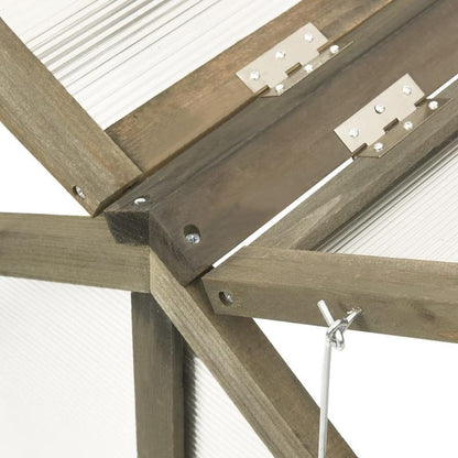 Plantenkas – Tuinkas – Kweekkas – Foliekas – Plantenbescherming – Compact 114x80x50 cm – Duurzaam PVC Materiaal – Geschikt Voor Meerdere Seizoenen