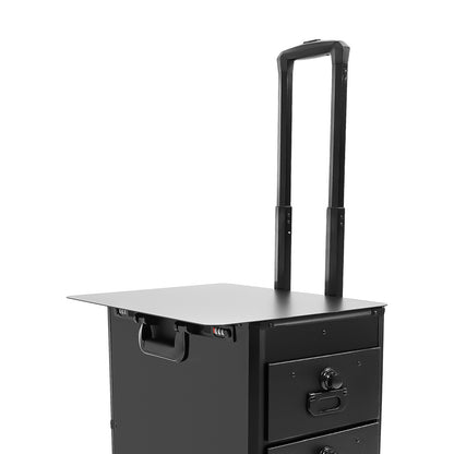 Rolling Makeup Case, Makeup Case with 4 Universal Wheels, Makeup Case with Combination Lock