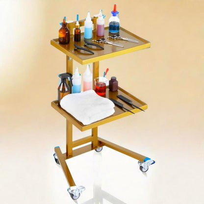 Mobiele Trolley – Labwagen – Werkwagen – Servicekar – Transportkar – Roestvrij Staal Heavy-Duty – Gouden Afwerking – Twee Etages – Geruisloze Wielen