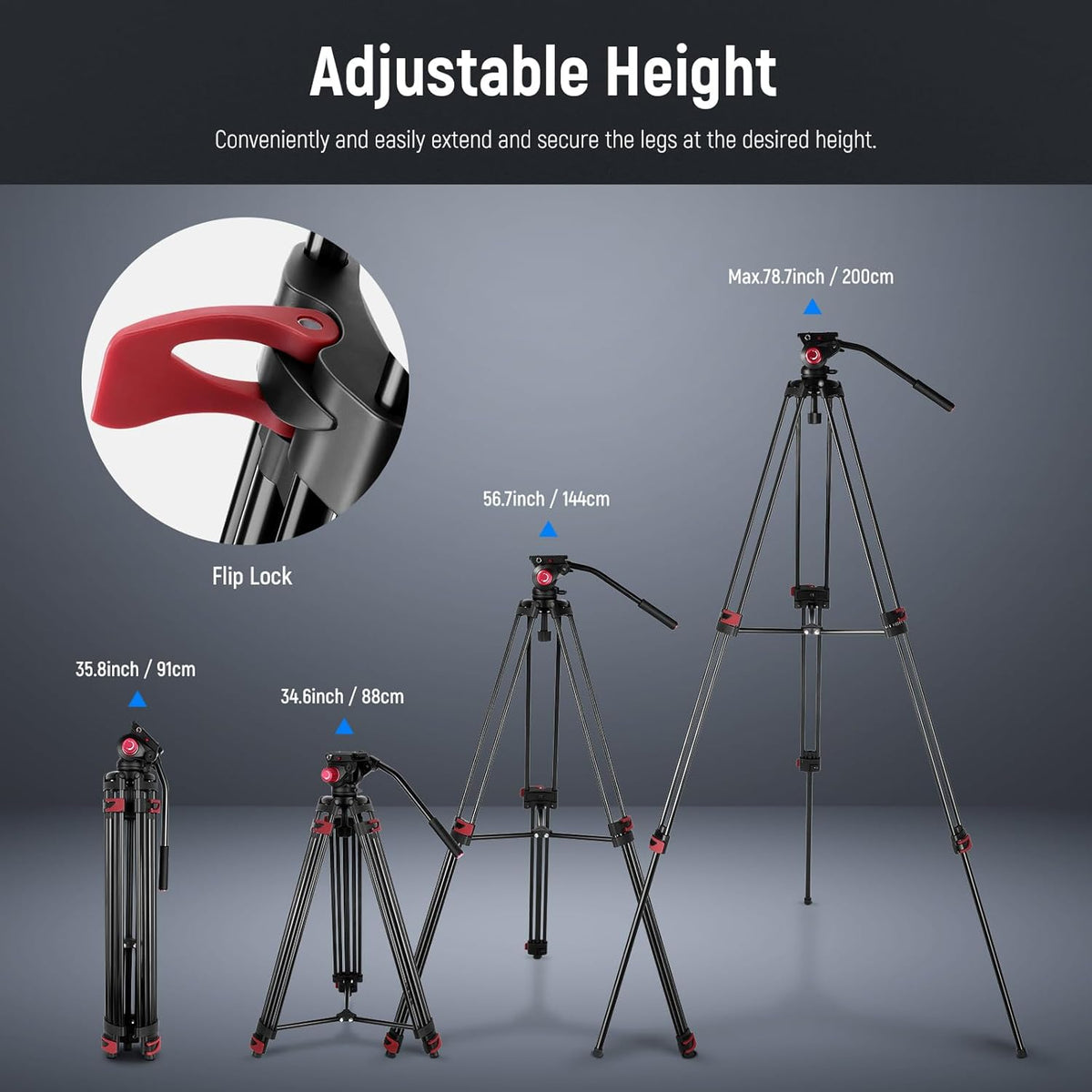 NEEWER 79"/200cm Video Statief, Heavy Duty Aluminium Camera Statief Stand met 360° Fluid Drag Head, QR Plaat Compatibel met Canon Nikon Sony en andere DSLR Camera Camcorder, Belasting tot 17,6lb/8kg
