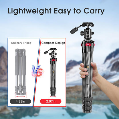 Koolstofvezel Camerastatief – Reisstatief – Fotostatief – Videostatief – Monopod – 360° Balhoofd – Opgevouwen Slechts 6,8 Cm Breed