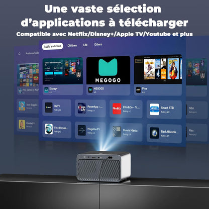 Videoprojector