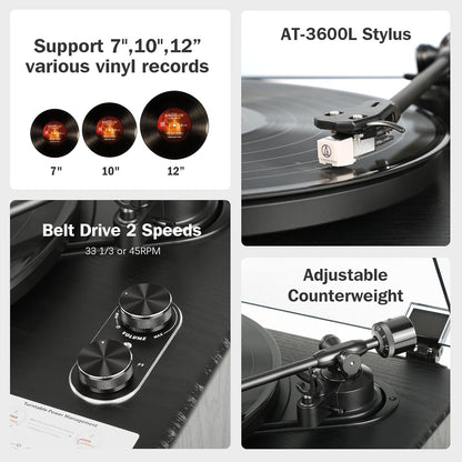 Platenspeler – Draaitafel – Vinylspeler – HiFi Platenspeler – All In One Platenspeler – Ingebouwde Speakers – 33/45 RPM