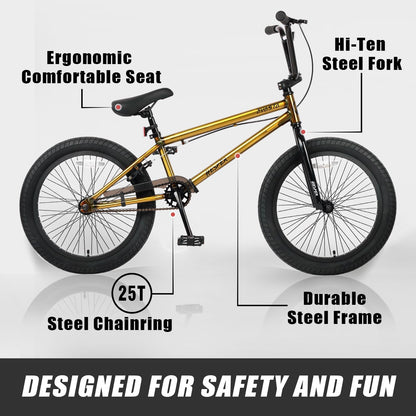 AVASTA Hesper 20 inch kinderfiets, Freestyle BMX-fietsen voor jongens en beginners van 6, 7, 8, 9, 10, 11, 12, 13, 14 jaar, verschillende kleuren