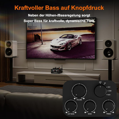 Douk Audio T6 PRO Bluetooth buisversterker: 300 W x2 TPA3255 2-kanaals stereo versterker - dual VU-meter & super bas - voor thuisbioscoop- en hifi-systemen (zwart)