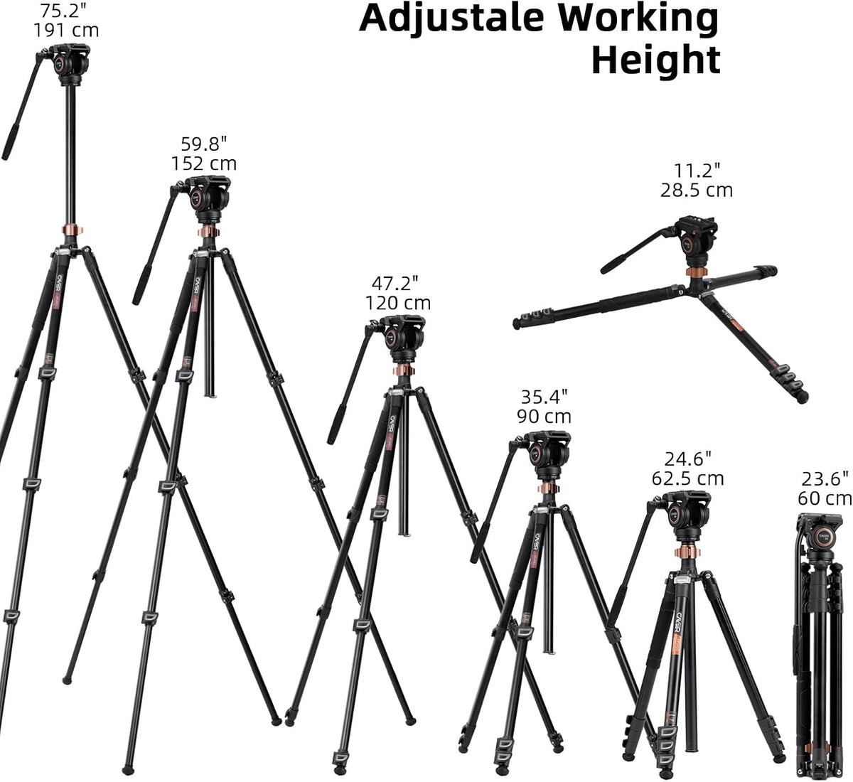 Cayer Aluminium videostatief, 75 inch, 4-delig, vloeistofkop, 6 kg draagvermogen, zilver, DSLR-camera, camcorder