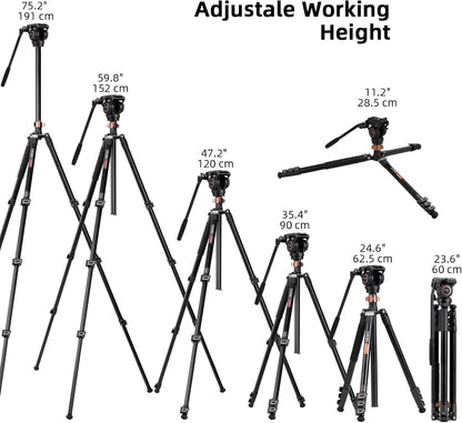 Cayer Aluminium videostatief, 75 inch, 4-delig, vloeistofkop, 6 kg draagvermogen, zilver, DSLR-camera, camcorder