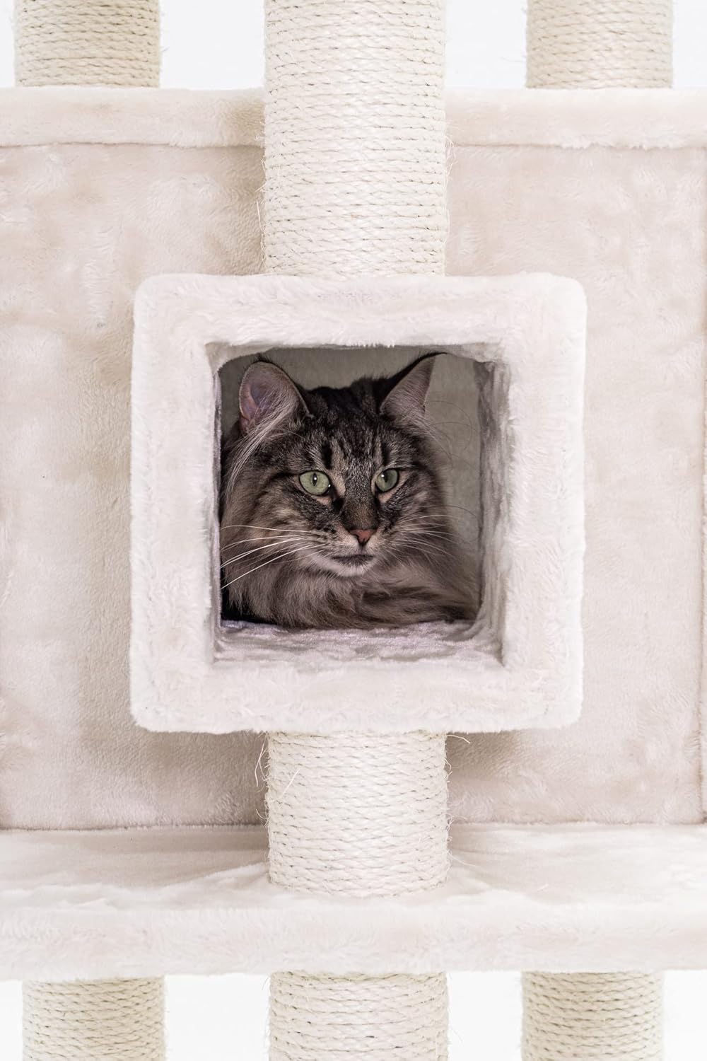 Krabpaal – Krabmeubel – Kattenboom – Kattenhuis – Kattenmand – 134 cm Hoog – Extra Dikke Sisalstammen 9 cm – Luxe Hangmat & Wasbaar Kussen – Crème