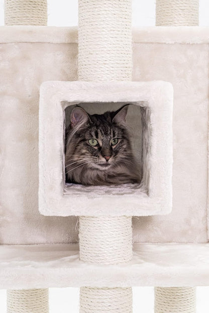 Krabpaal – Krabmeubel – Kattenboom – Kattenhuis – Kattenmand – 134 cm Hoog – Extra Dikke Sisalstammen 9 cm – Luxe Hangmat & Wasbaar Kussen – Crème