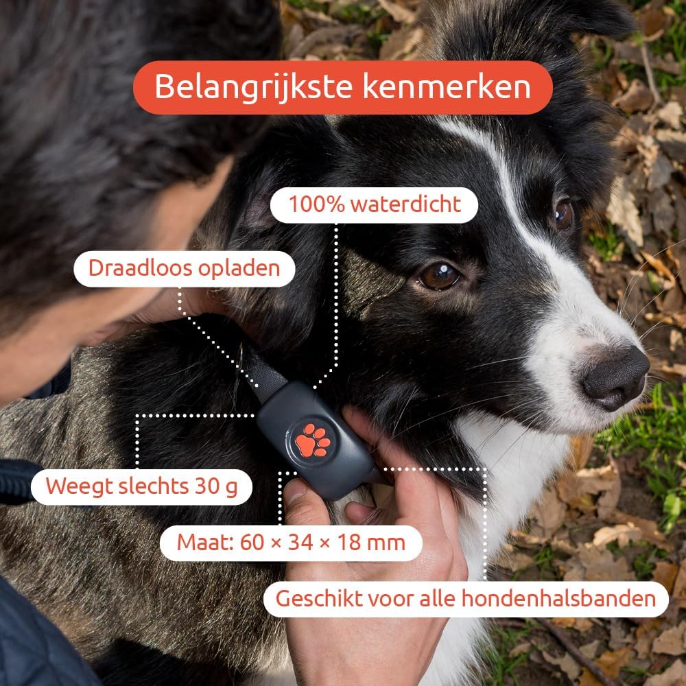PitPat Dog GPS-tracker - Geen abonnement (Blauw)