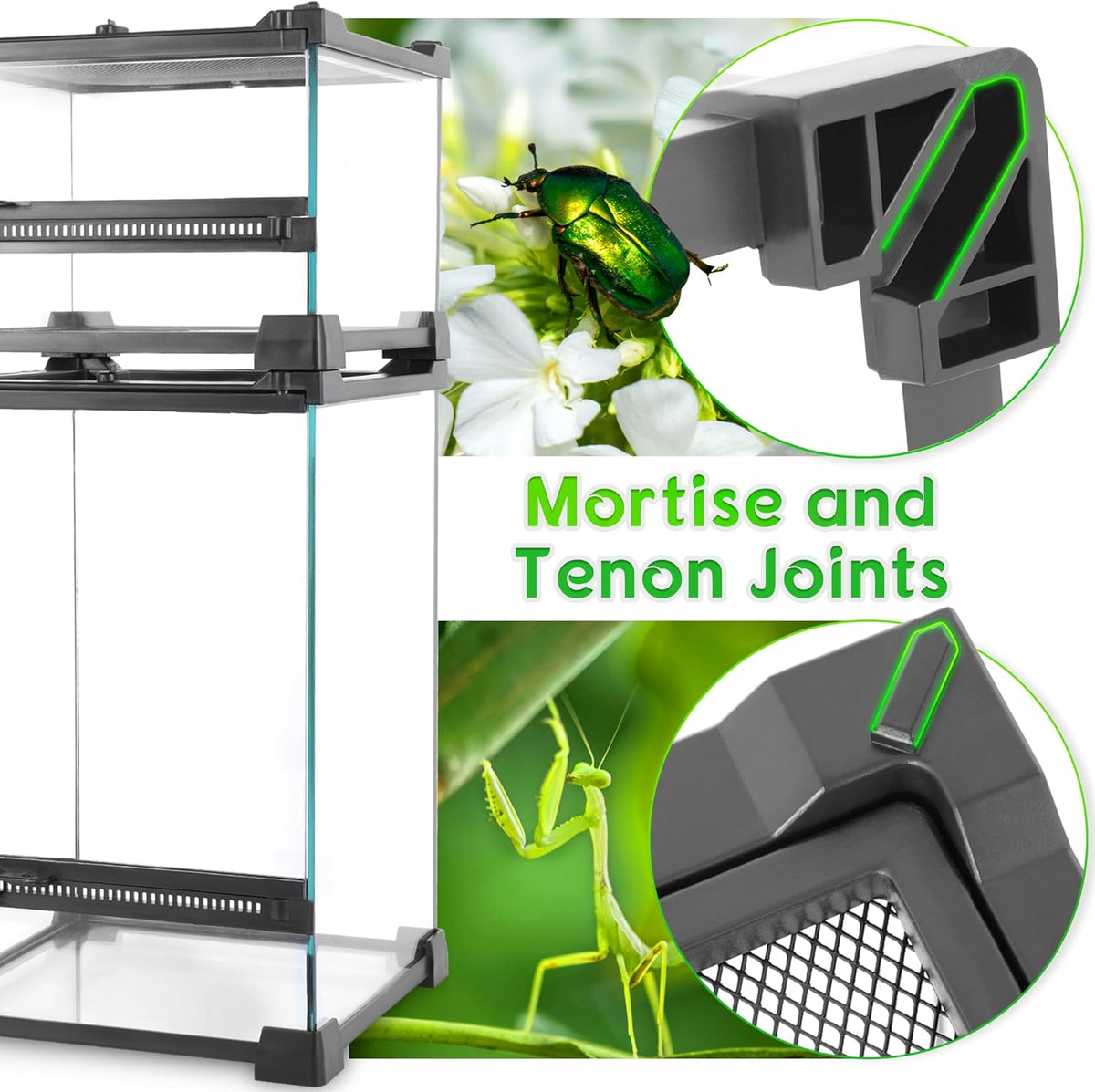 Mini Reptiel Glas Terrarium 10 "x 10" x 14" Duurzame Reptielen Habitat Tank met Hittebestendig Aluminium Frame Enkele Swingdeuren voor geen Jam door Zand en Andere Puin