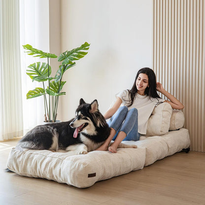 MAXYOYO Folding Sofa Bed, Convertible Sleeping Chair with Pillow, Mattress with Back Support, Portable Chair Bed, Comfortable Floor Sofa Lounge for Living Room, Bedroom, Beige