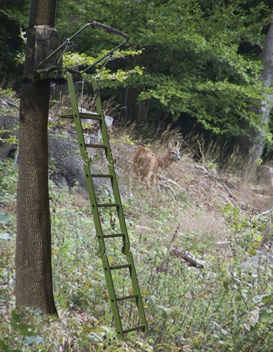 Berger & Schröter Aanzetladders inklapbaar, groen