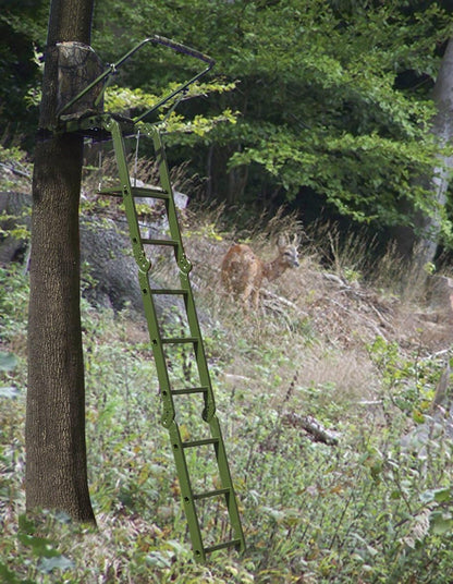 Berger & Schröter Aanzetladders inklapbaar, groen